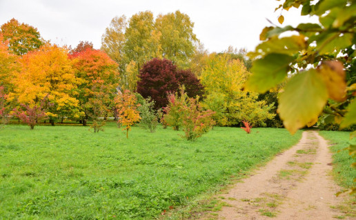 4_Dubravos arboretumas_R_Mikitiejevos nuotr.jpg